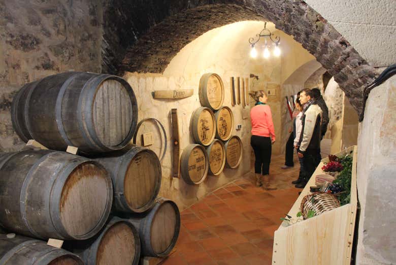 Visitando en Museo del Vino