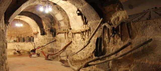 Tour por el Museo del Vino de Aranda de Duero