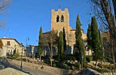 Private tour of Aranda de Duero