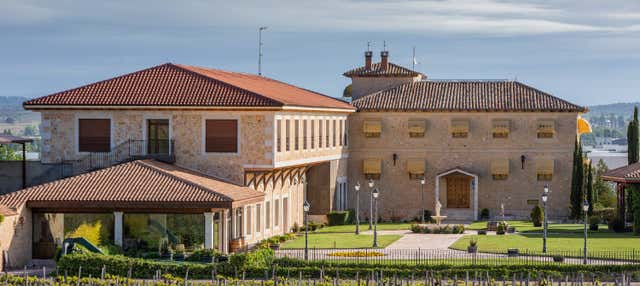 Visita a la bodega Finca Torremilanos