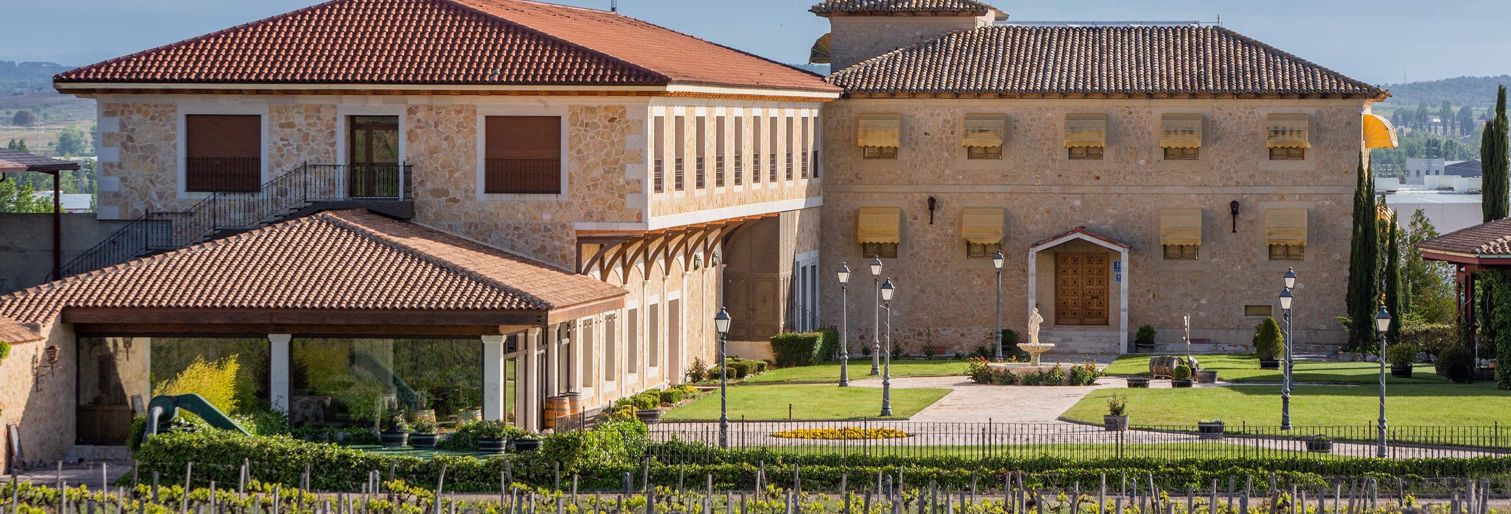 Gastronomía y enoturismo en Aranda de Duero
