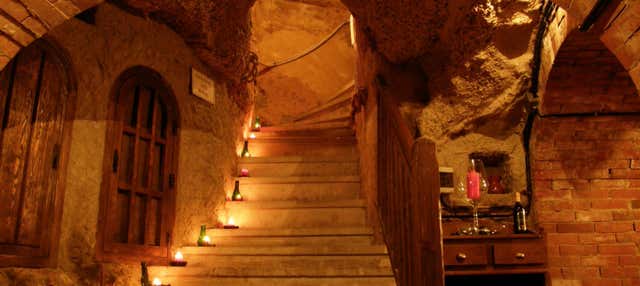 Visita a la Bodega Histórica Don Carlos con cata de vinos