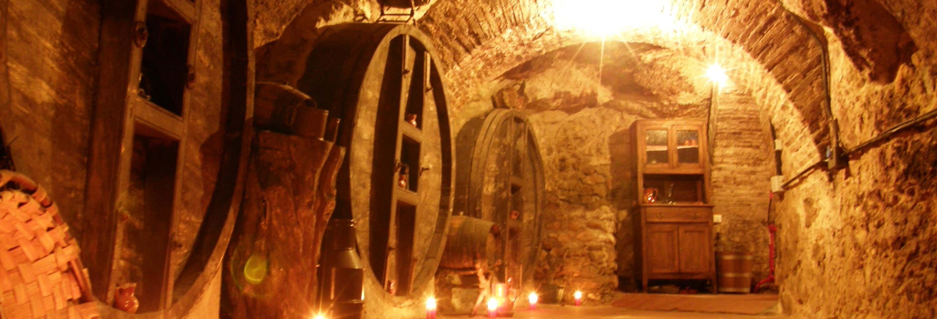 Visitas guiadas e free tours em Aranda de Duero