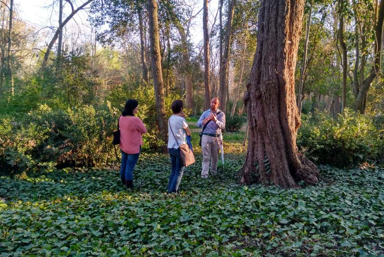 Scopriremo il grande gioiello botanico di Aranjuez