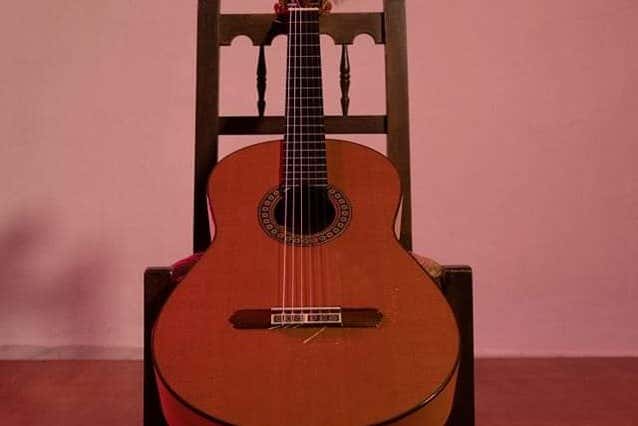 The star of the show