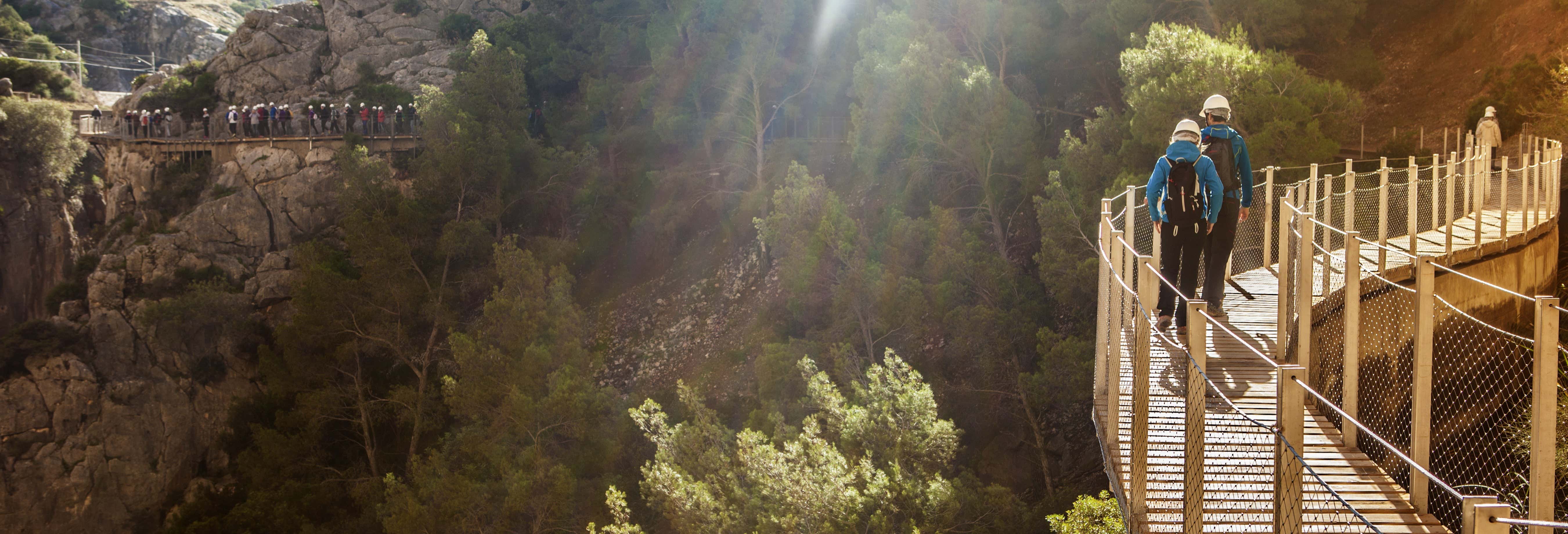 Guided tours and free tours