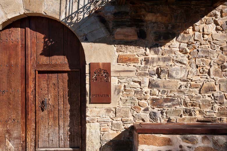 Viñedos y Bodegas Pittacum