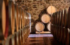 Visita a Viñedos y Bodegas Pittacum