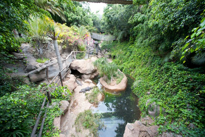 Jungle Park