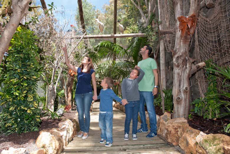 Dia em família no Jungle Park