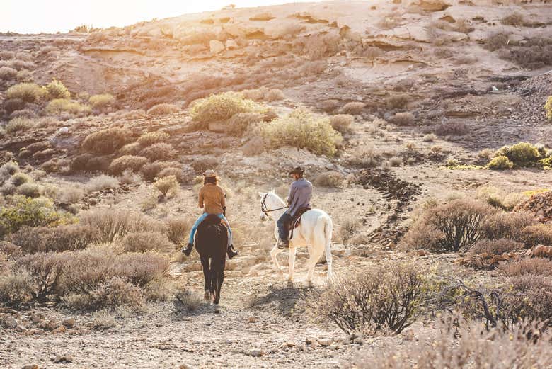Balade à cheval au sud de Tenerife