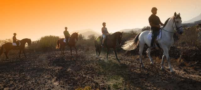 Balade à cheval au sud de Tenerife