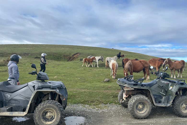 Será una ruta en la que veremos numerosos animales