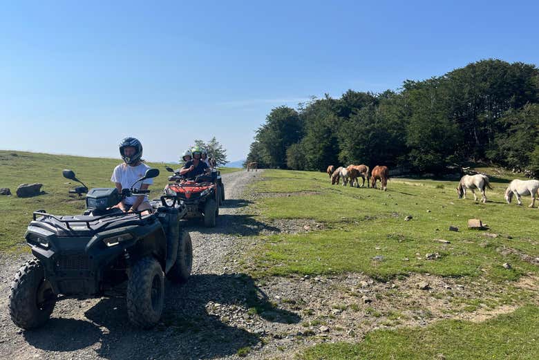 La mejor ruta para explorar el valle de Ultzama