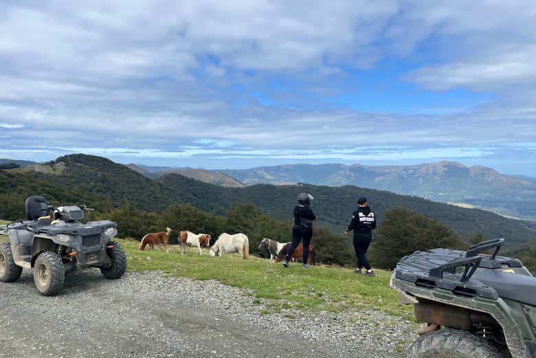 Tendréis unas vistas inmejorables de la zona