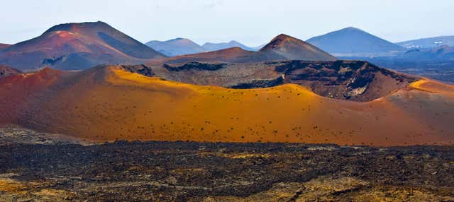 Half Day Excursion to the South of Lanzarote