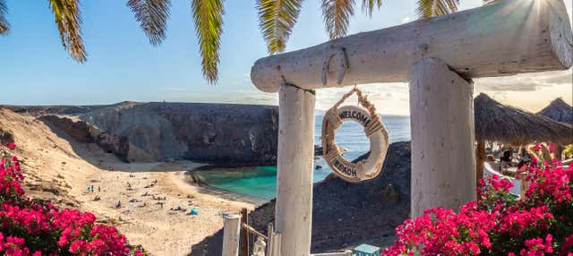 Excursão privada por Lanzarote. Você escolhe!