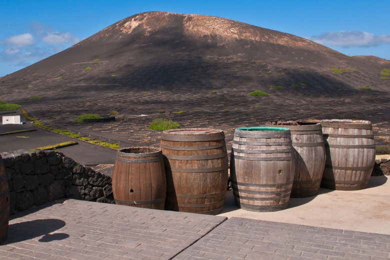 Barriles de vino en La Geria