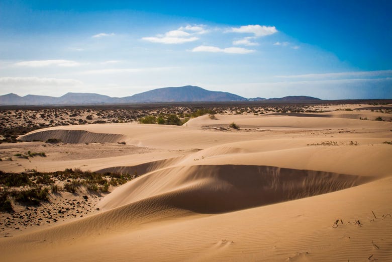 Explore the vast Corralejo dunes