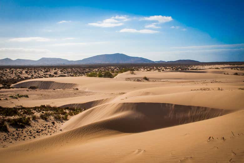 Dunas de Corralejo