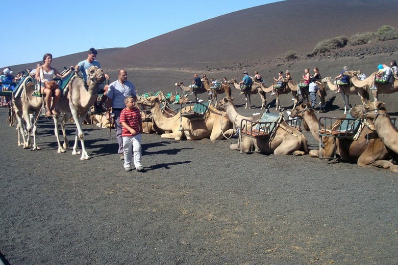Senda de camellos en Timanfaya