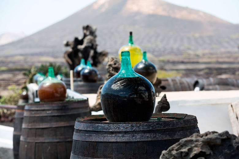 Vineyards on Lanzarote's volcanic terrain