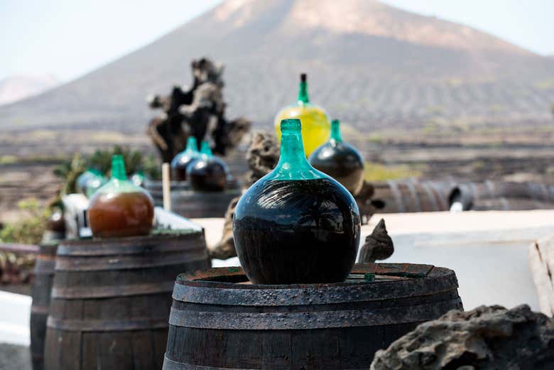 Vinhedos nas terras vulcânicas de Lanzarote