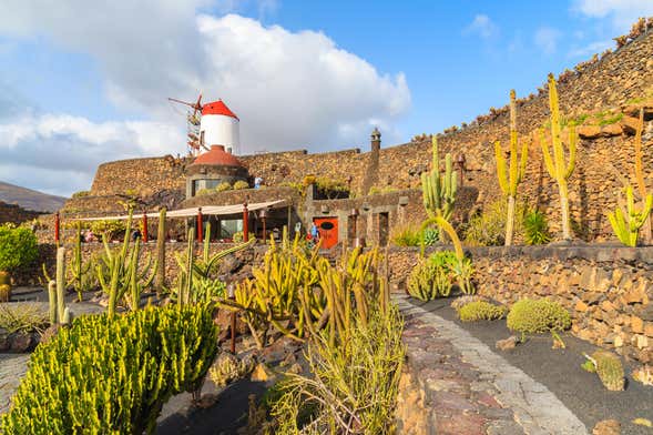 Tour de César Manrique por Lanzarote