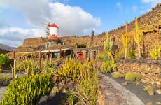 Tour de César Manrique por Lanzarote