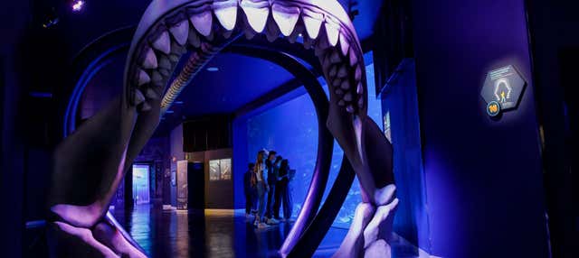 Entrada a Atlantis Aquarium