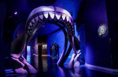 Atlantis Aquarium Ticket