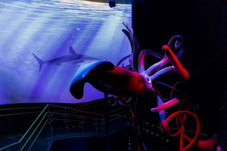 El interior de Atlantis