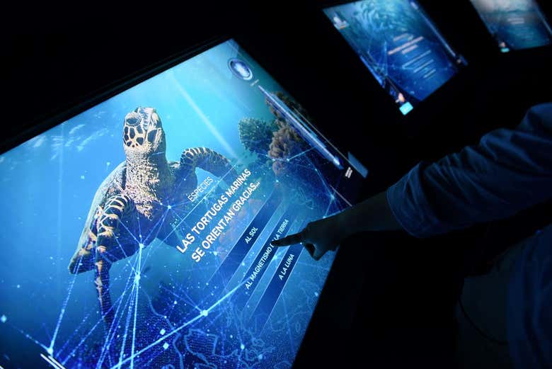 Conoceréis datos interesantes de la vida marina