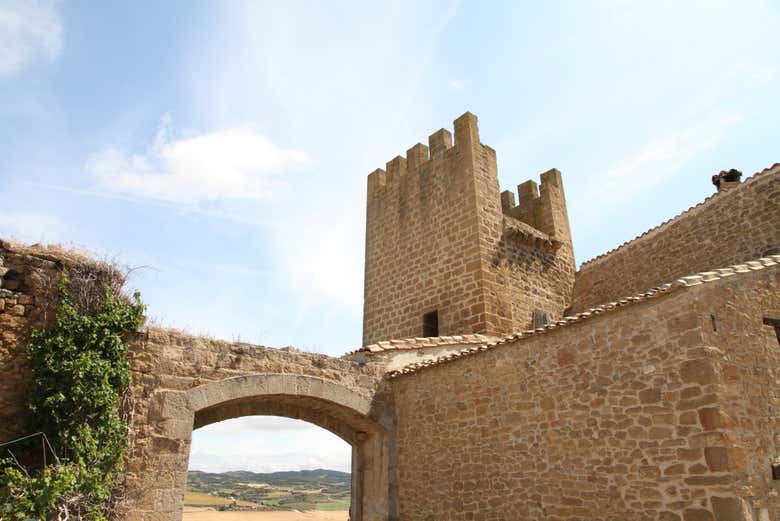 Detalles del cerco de Artajona