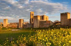 Tour por el Cerco de Artajona + Tejado de Berachico