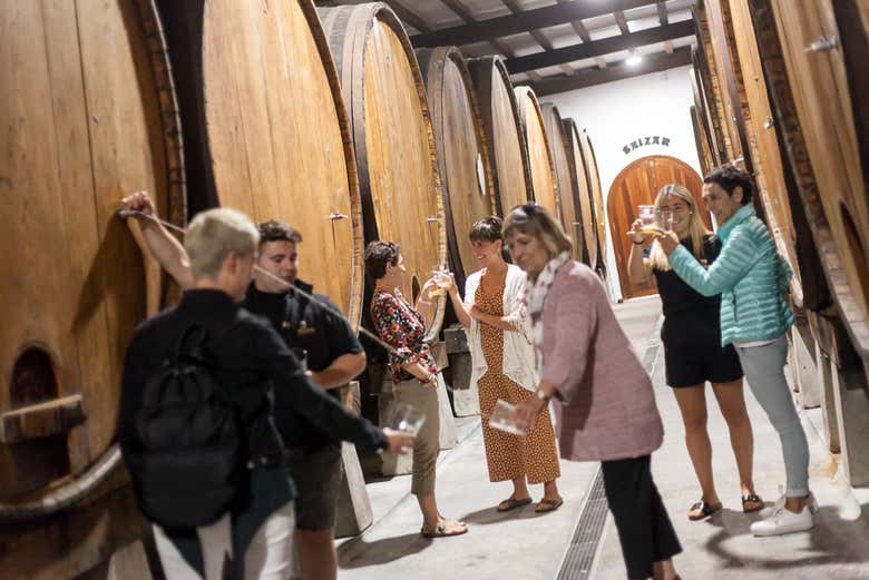 Visita guiada por la sidrería Petritegi