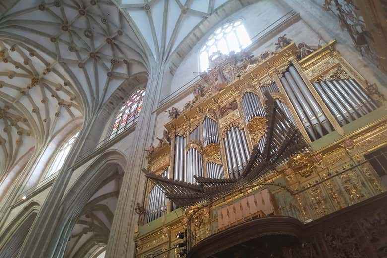 Contemplando o órgão da Catedral