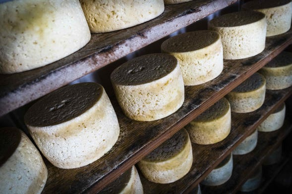 Tour del queso de Cabrales por Asturias