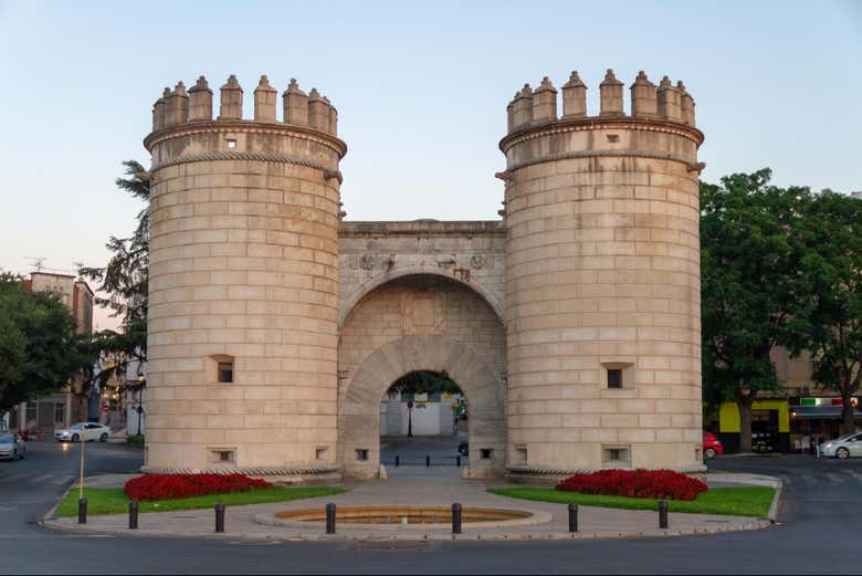 Puerta Palmas