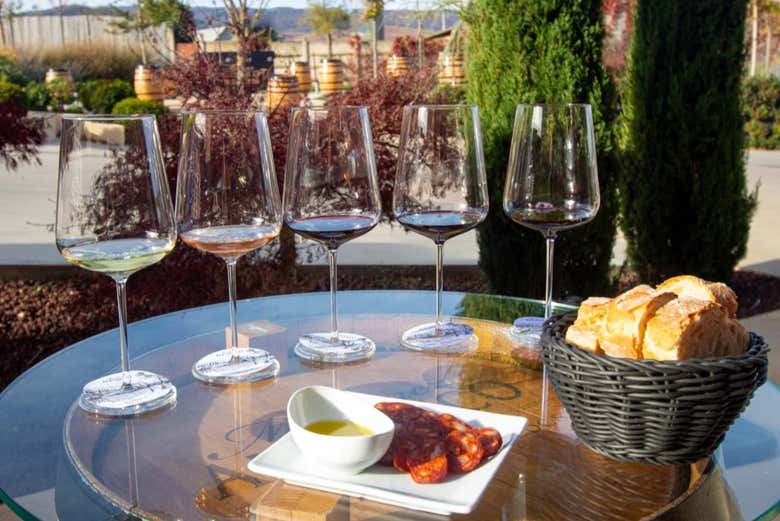 Vous dégusterez le vin exquis de Martínez Alesanco