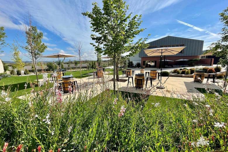 Terrasse des caves
