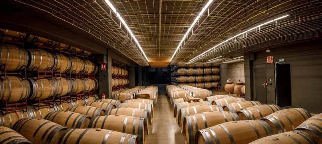 Visita a las Bodegas Martínez Alesanco