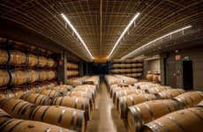 Visita a las Bodegas Martínez Alesanco