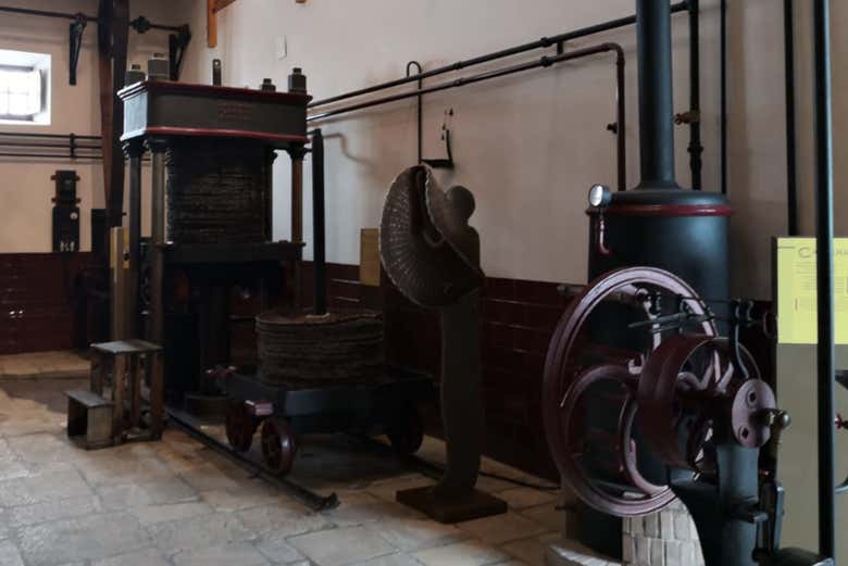 Sala del Museo del Olivar