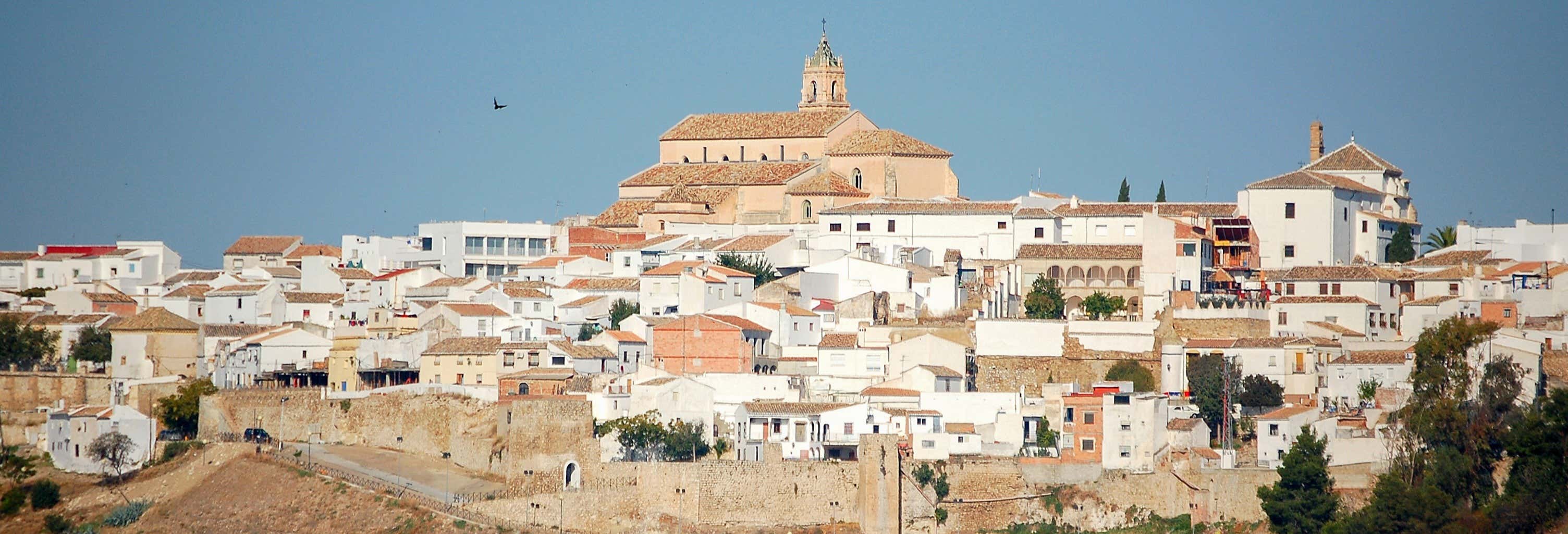 Visitas guiadas y free tours en Baena