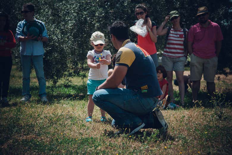 Familias en el olivar ecológico