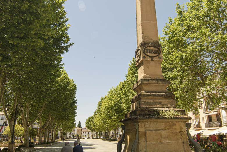 Paseo de la Constitución