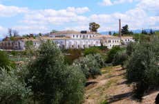 Olive Oil Museum Guided Tour & Olive Oil Tasting