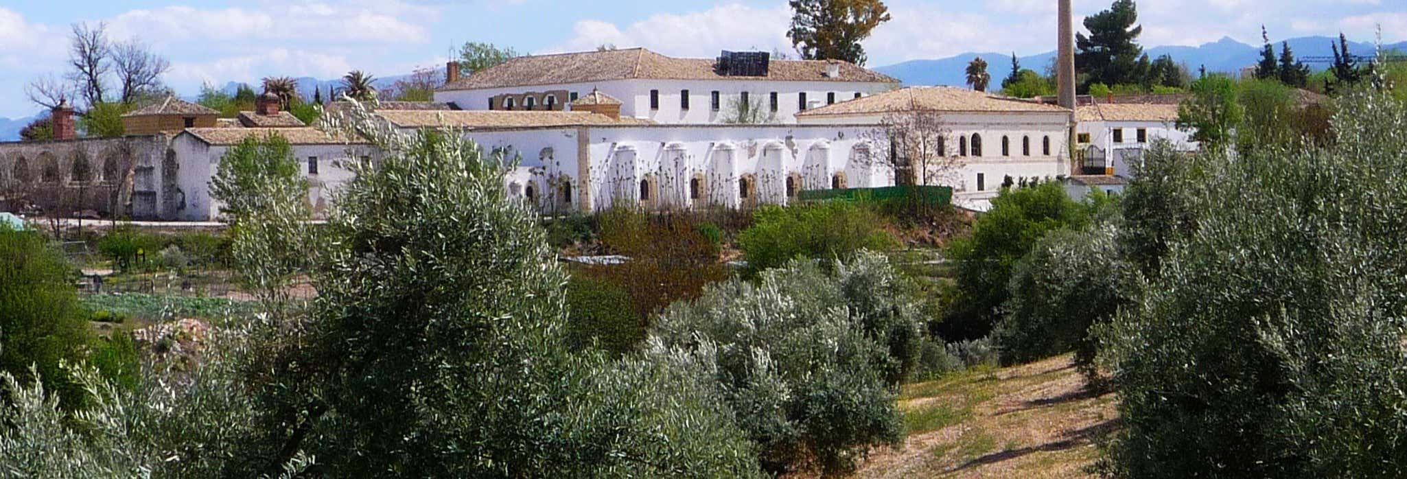 Gastronomía y enoturismo en Baeza