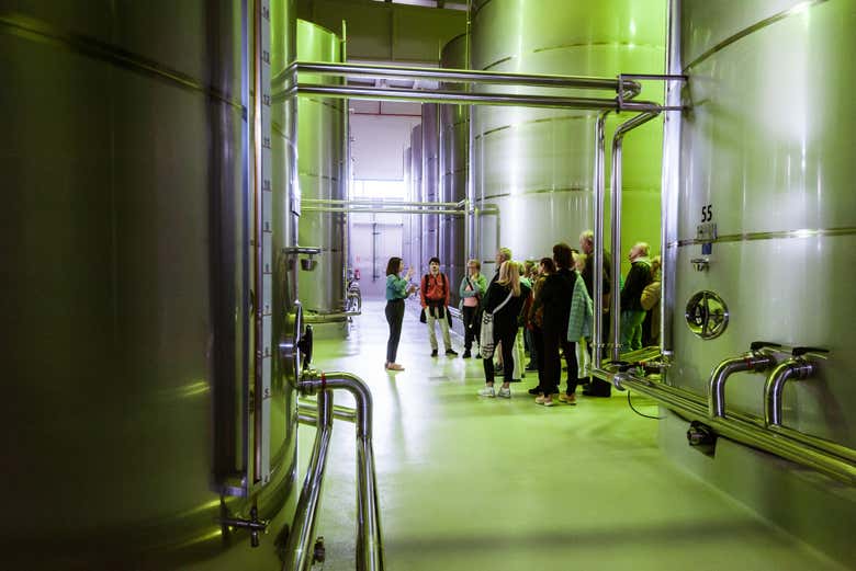 Descubriendo el proceso de elaboración del aceite